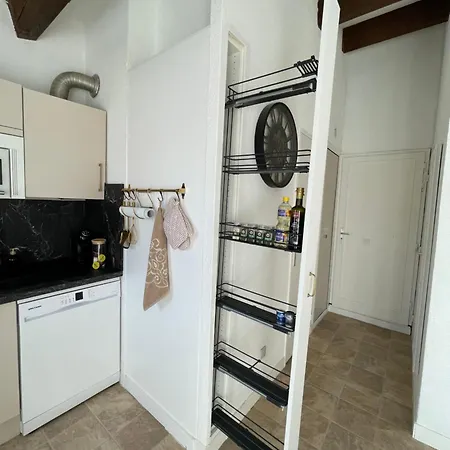 Apartment Pinede Piscine Clim Proche Village Naturiste Agde